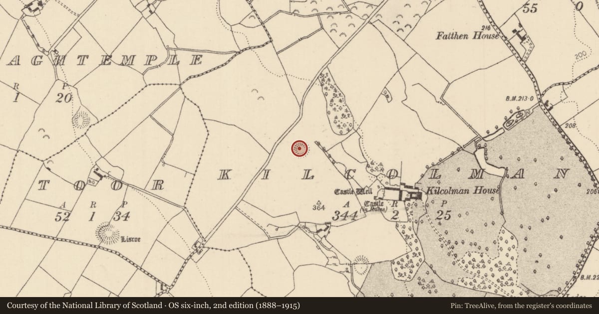 Ordnance Survey six-inch map, 2nd edition (1888–1915) covering the location of Ringfort - rath, Kilcolman (Youghalarra Par.), County Tipperary North, with a pin at the register's coordinates