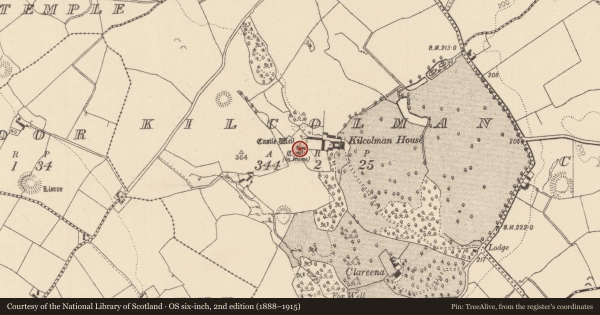 Ordnance Survey six-inch map, 2nd edition (1888–1915) covering the location of Castle - tower house, Kilcolman (Youghalarra Par.), County Tipperary North, with a pin at the register's coordinates