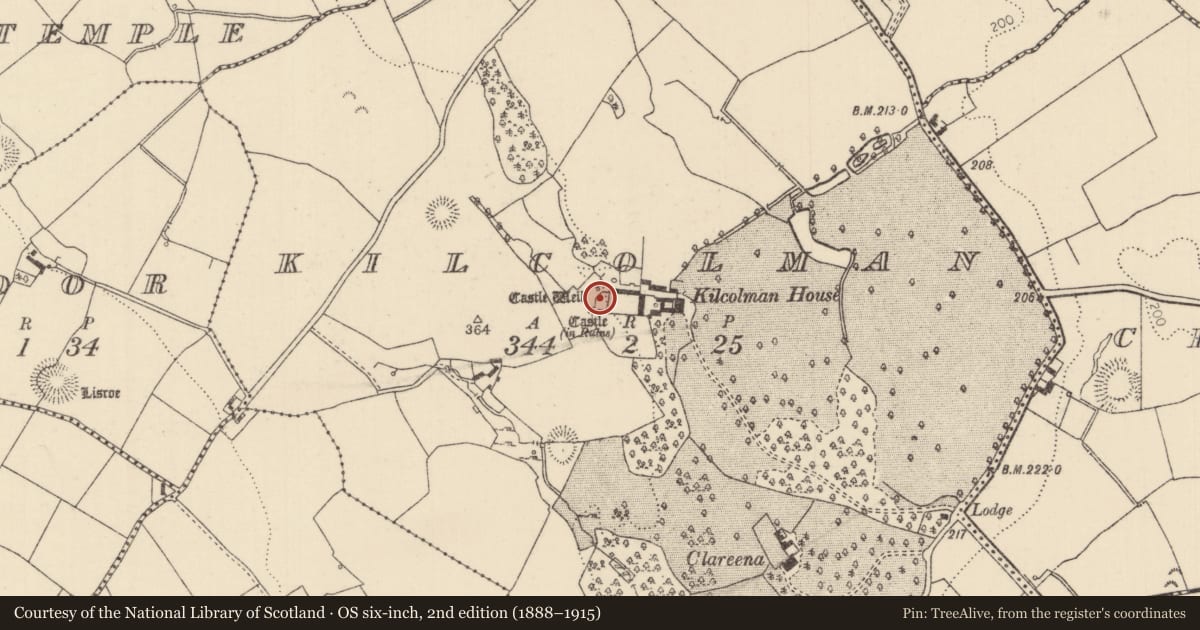 Ordnance Survey six-inch map, 2nd edition (1888–1915) covering the location of Well, Kilcolman (Youghalarra Par.), County Tipperary North, with a pin at the register's coordinates