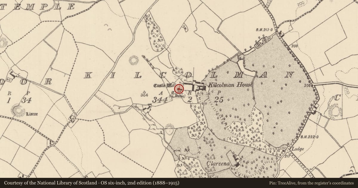 Ordnance Survey six-inch map, 2nd edition (1888–1915) covering the location of Bawn, Kilcolman (Youghalarra Par.), County Tipperary North, with a pin at the register's coordinates