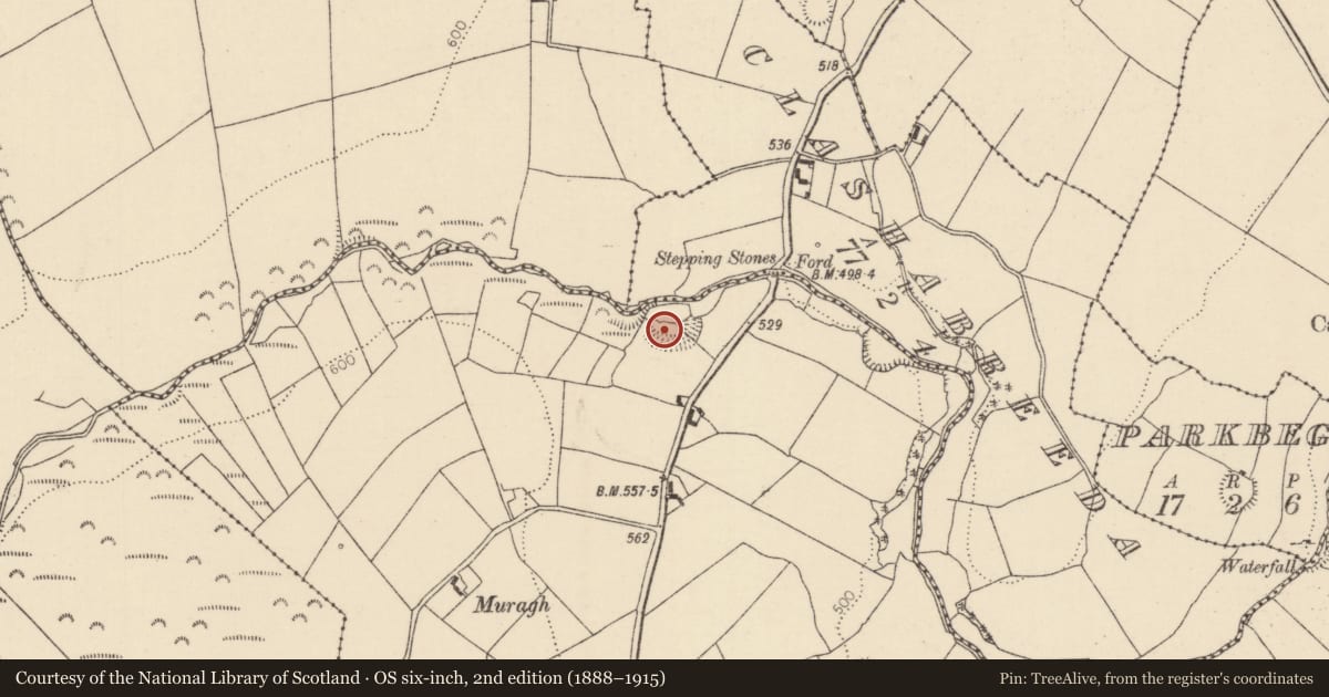 Ordnance Survey six-inch map, 2nd edition (1888–1915) covering the location of Cliff-edge fort, Barbaha, County Tipperary North, with a pin at the register's coordinates