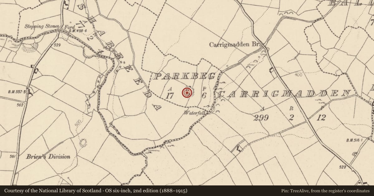Ordnance Survey six-inch map, 2nd edition (1888–1915) covering the location of Ringfort - rath, Parkbeg, County Tipperary North, with a pin at the register's coordinates