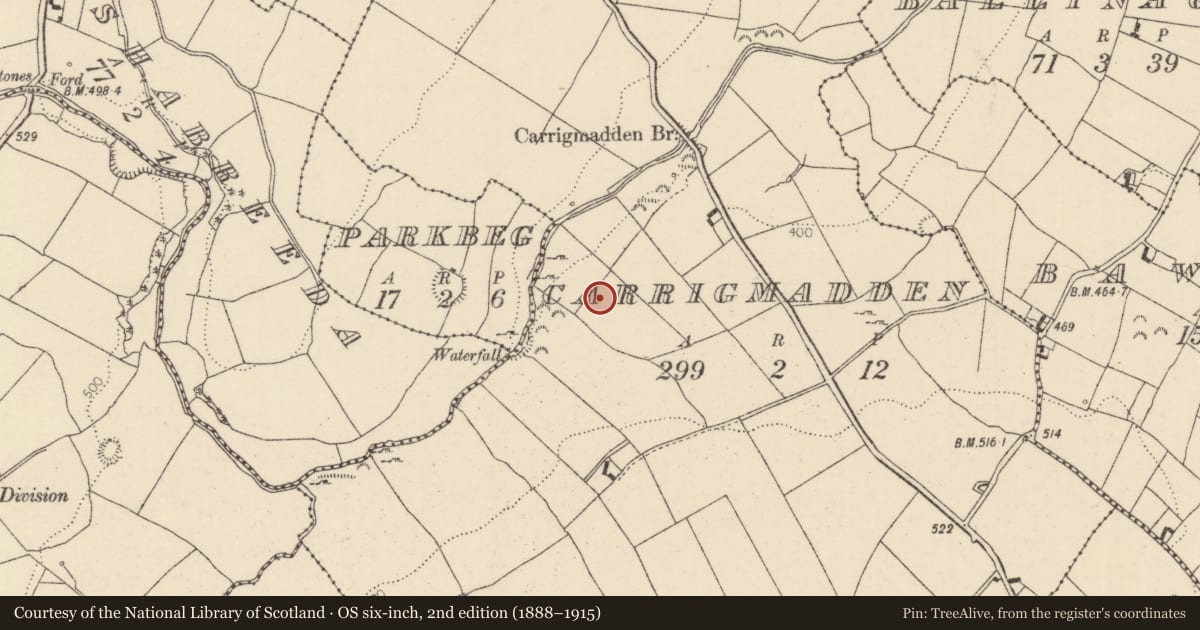 Ordnance Survey six-inch map, 2nd edition (1888–1915) covering the location of Enclosure, Carrigmadden, County Tipperary North, with a pin at the register's coordinates