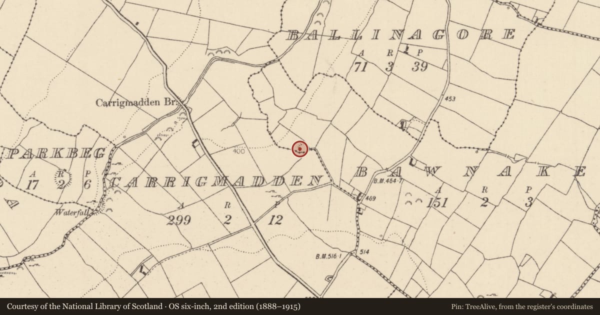 Ordnance Survey six-inch map, 2nd edition (1888–1915) covering the location of Enclosure, Bawnakey, Carrigmadden, County Tipperary North, with a pin at the register's coordinates