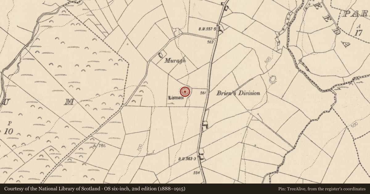 Ordnance Survey six-inch map, 2nd edition (1888–1915) covering the location of Ringfort - rath, Barbaha, County Tipperary North, with a pin at the register's coordinates
