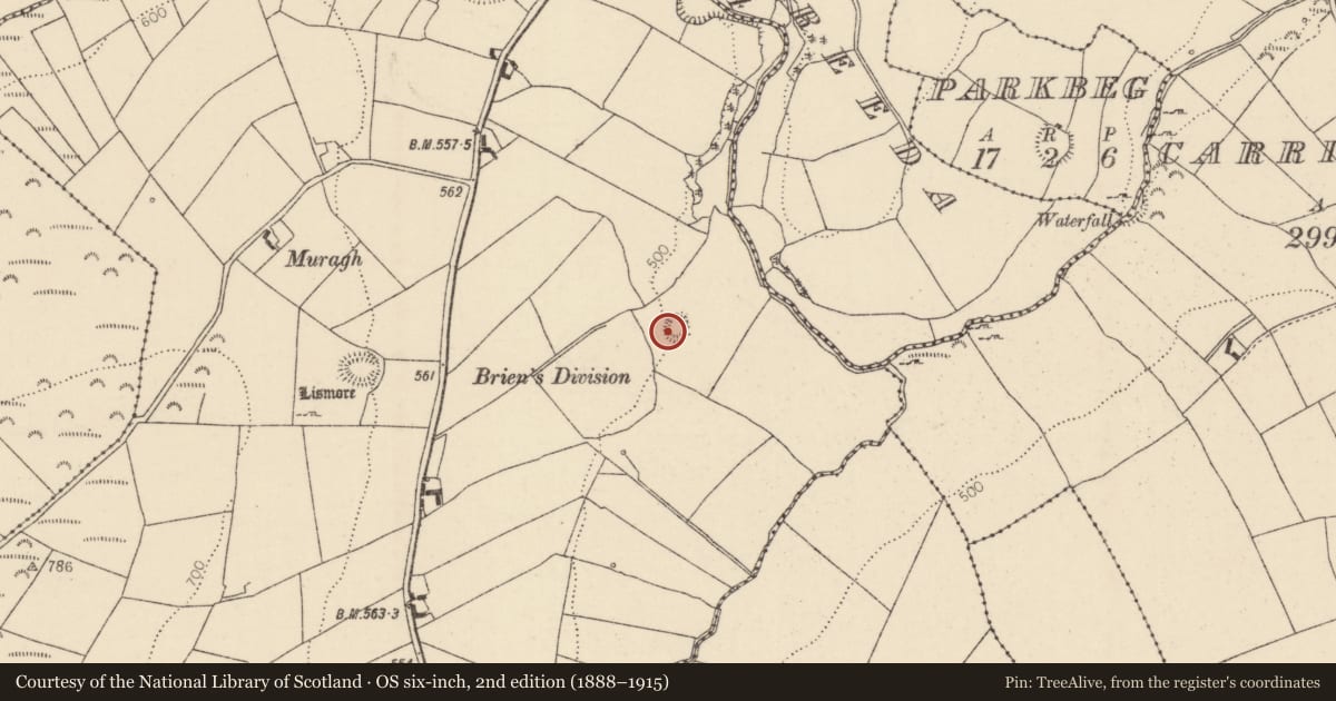 Ordnance Survey six-inch map, 2nd edition (1888–1915) covering the location of Ringfort - rath, Barbaha, County Tipperary North, with a pin at the register's coordinates