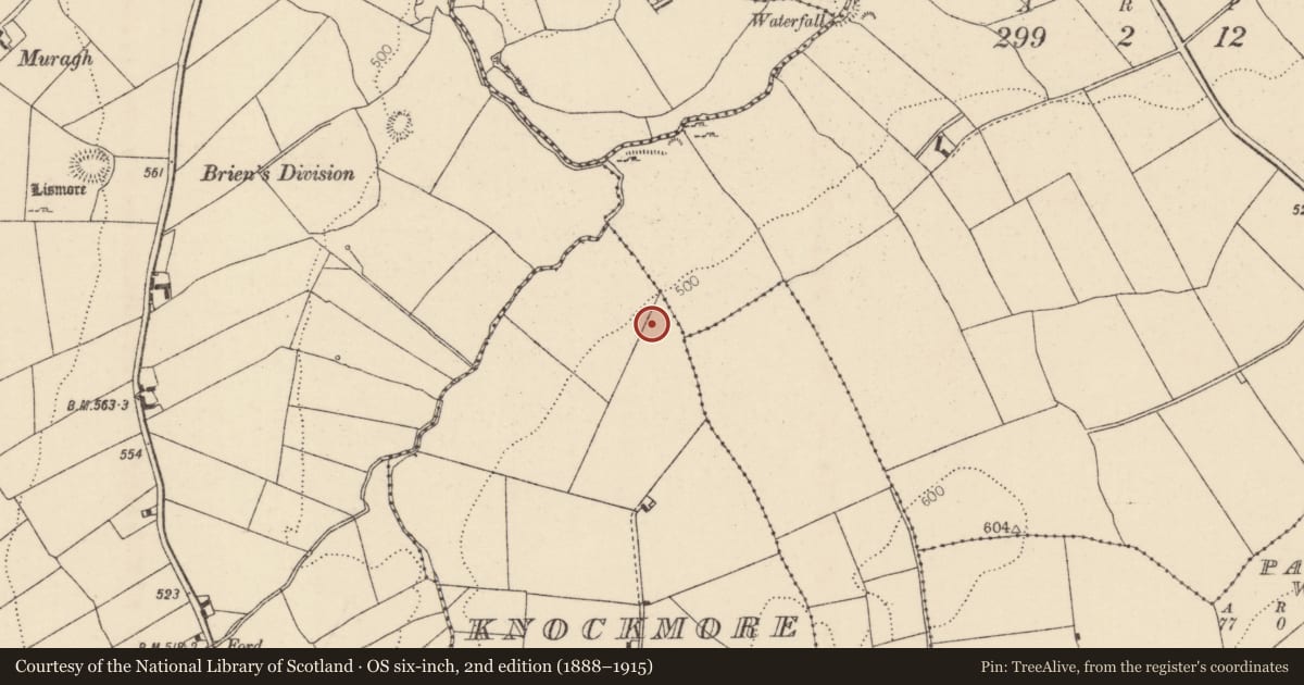 Ordnance Survey six-inch map, 2nd edition (1888–1915) covering the location of Enclosure, Knockmore, County Tipperary North, with a pin at the register's coordinates