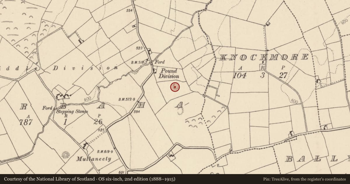 Ordnance Survey six-inch map, 2nd edition (1888–1915) covering the location of Ringfort - rath, Barbaha, County Tipperary North, with a pin at the register's coordinates