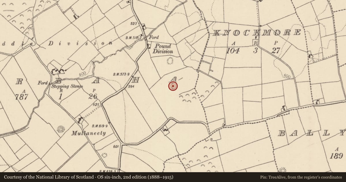 Ordnance Survey six-inch map, 2nd edition (1888–1915) covering the location of Ringfort - rath, Barbaha, County Tipperary North, with a pin at the register's coordinates