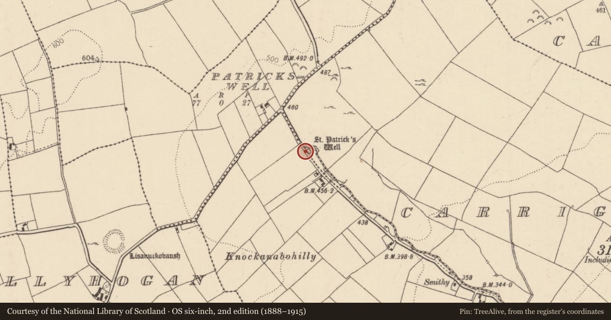 Ordnance Survey six-inch map, 2nd edition (1888–1915) covering the location of Ritual site - holy/saint's stone, Carrigatogher (Abbott), County Tipperary North, with a pin at the register's coordinates