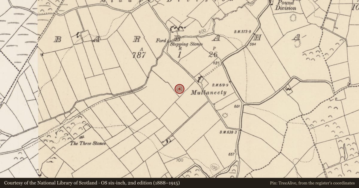 Ordnance Survey six-inch map, 2nd edition (1888–1915) covering the location of Barrow - ring-barrow, Barbaha, County Tipperary North, with a pin at the register's coordinates