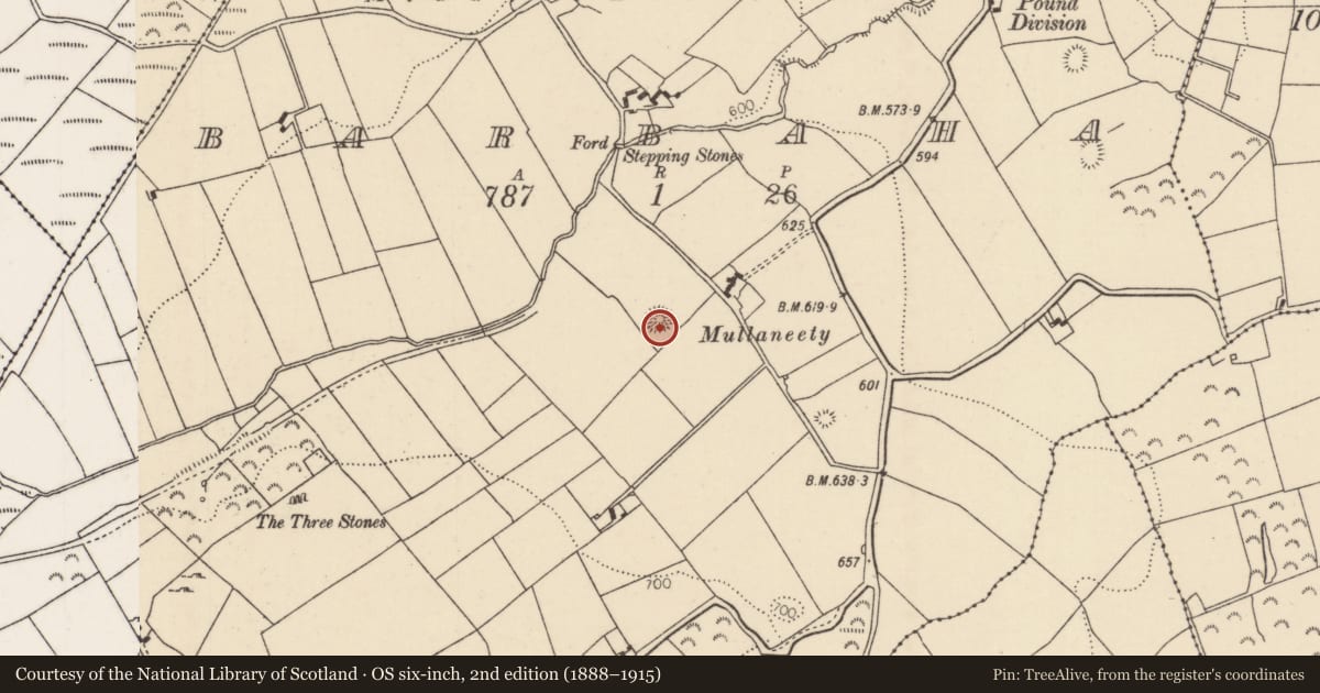 Ordnance Survey six-inch map, 2nd edition (1888–1915) covering the location of Standing stone, Barbaha, County Tipperary North, with a pin at the register's coordinates
