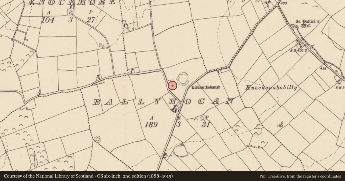 Ordnance Survey six-inch map, 2nd edition (1888–1915) covering the location of Standing stone, Ballyhogan (Burgesbeg Par.), County Tipperary North, with a pin at the register's coordinates