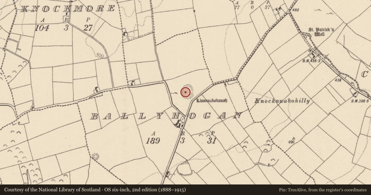Ordnance Survey six-inch map, 2nd edition (1888–1915) covering the location of Ringfort - rath, Ballyhogan (Burgesbeg Par.), County Tipperary North, with a pin at the register's coordinates