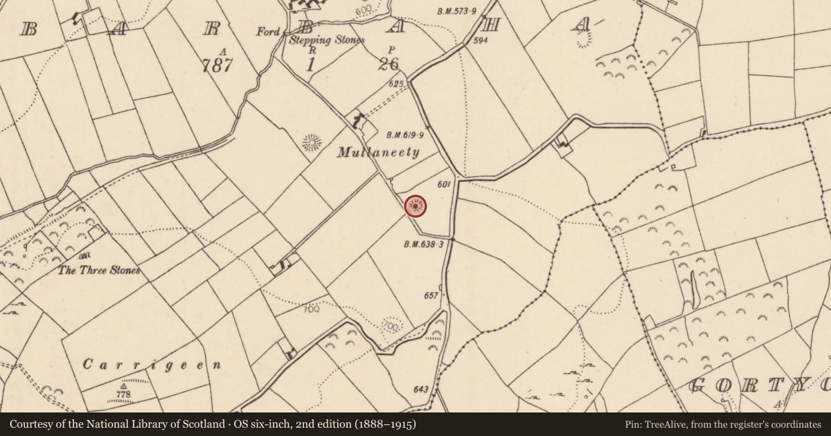 Ordnance Survey six-inch map, 2nd edition (1888–1915) covering the location of Barrow - unclassified, Barbaha, County Tipperary North, with a pin at the register's coordinates