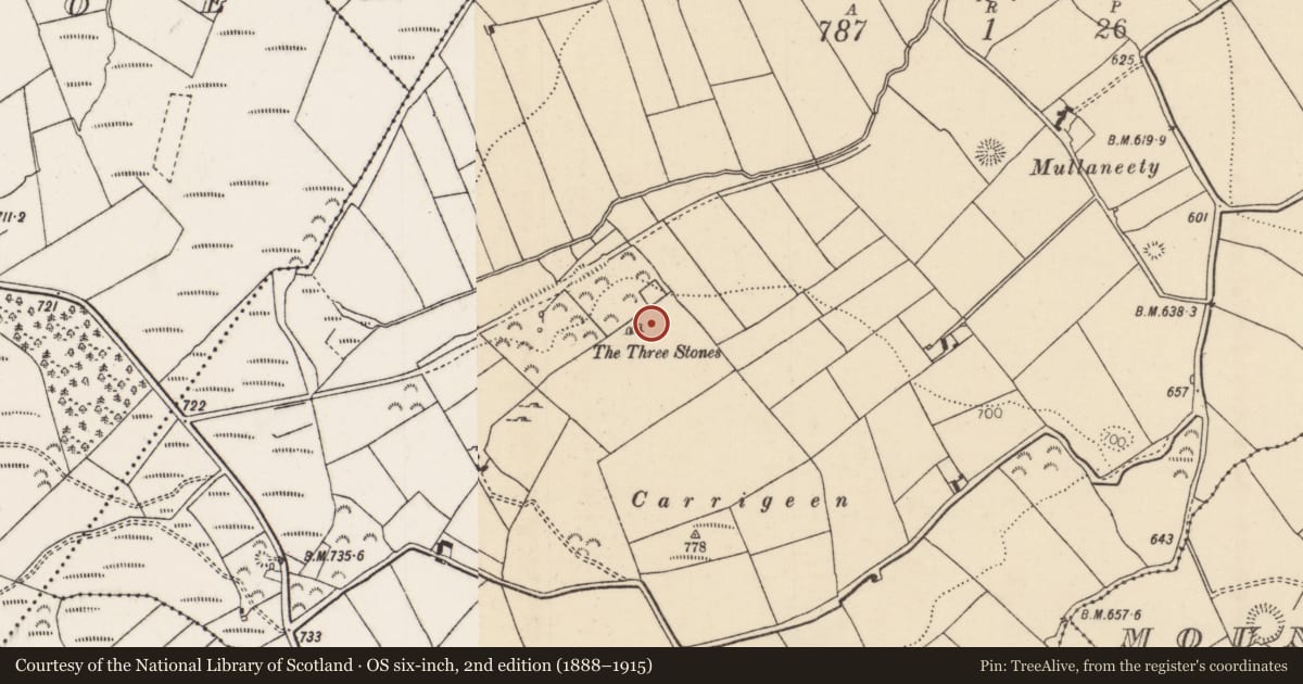 Ordnance Survey six-inch map, 2nd edition (1888–1915) covering the location of Stone row, Barbaha, County Tipperary North, with a pin at the register's coordinates