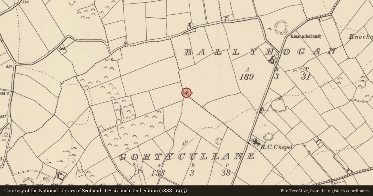 Ordnance Survey six-inch map, 2nd edition (1888–1915) covering the location of Ringfort - rath, Ballyhogan (Burgesbeg Par.), Gortycullane, County Tipperary North, with a pin at the register's coordinates
