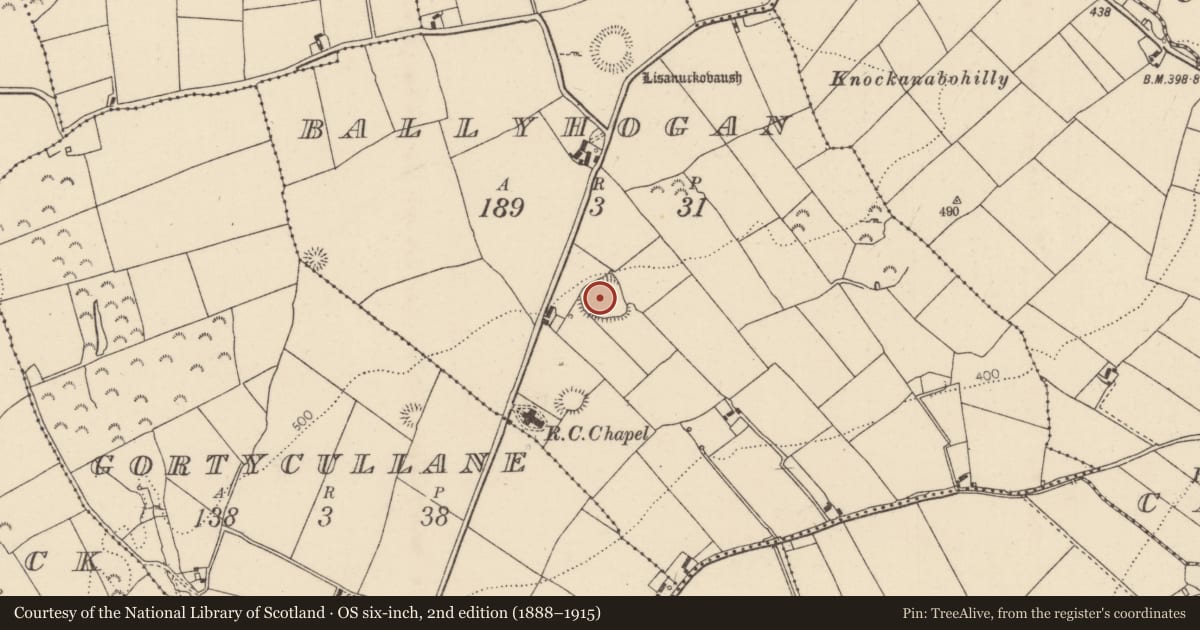 Ordnance Survey six-inch map, 2nd edition (1888–1915) covering the location of Ringfort - rath, Ballyhogan (Burgesbeg Par.), County Tipperary North, with a pin at the register's coordinates