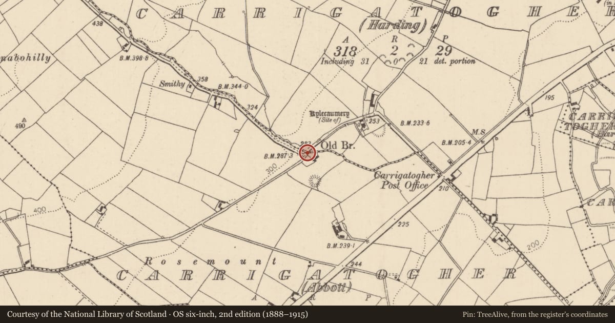 Ordnance Survey six-inch map, 2nd edition (1888–1915) covering the location of Bridge, Carrigatogher (Abbott), Carrigatogher (Harding), County Tipperary North, with a pin at the register's coordinates