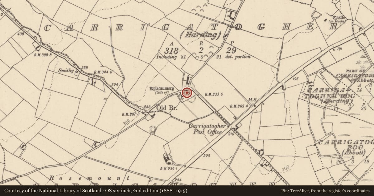 Ordnance Survey six-inch map, 2nd edition (1888–1915) covering the location of Enclosure, Carrigatogher (Harding), County Tipperary North, with a pin at the register's coordinates