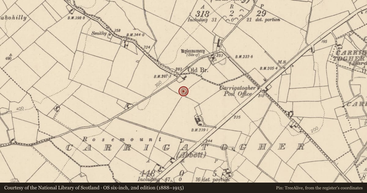 Ordnance Survey six-inch map, 2nd edition (1888–1915) covering the location of Enclosure, Carrigatogher (Abbott), County Tipperary North, with a pin at the register's coordinates