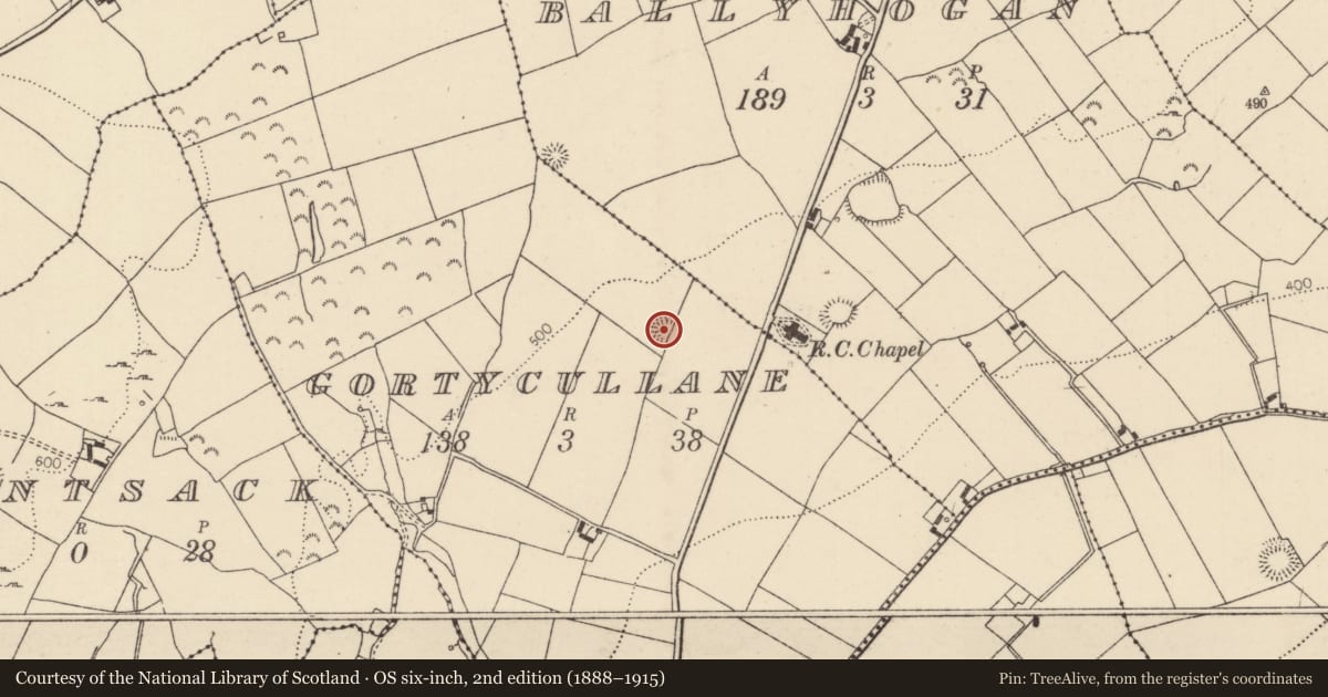 Ordnance Survey six-inch map, 2nd edition (1888–1915) covering the location of Ringfort - rath, Gortycullane, County Tipperary North, with a pin at the register's coordinates
