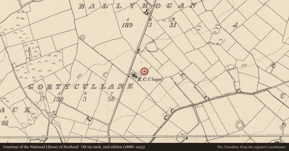Ordnance Survey six-inch map, 2nd edition (1888–1915) covering the location of Ringfort - rath, Ballyhogan (Burgesbeg Par.), County Tipperary North, with a pin at the register's coordinates