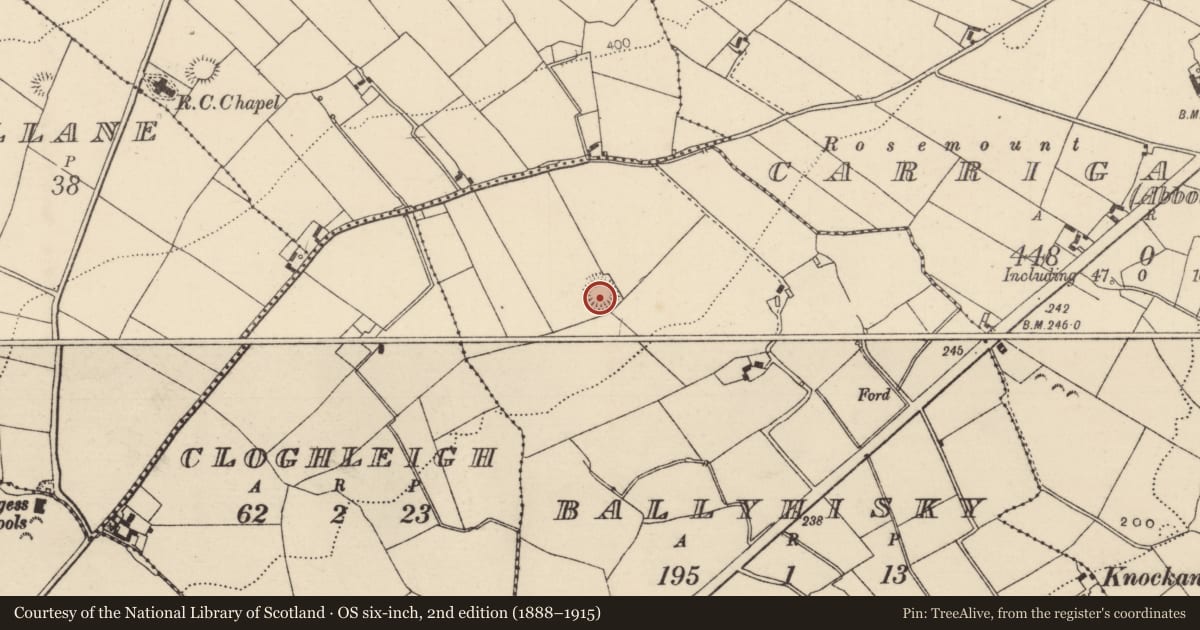 Ordnance Survey six-inch map, 2nd edition (1888–1915) covering the location of Ringfort - rath, Ballyhisky, County Tipperary North, with a pin at the register's coordinates