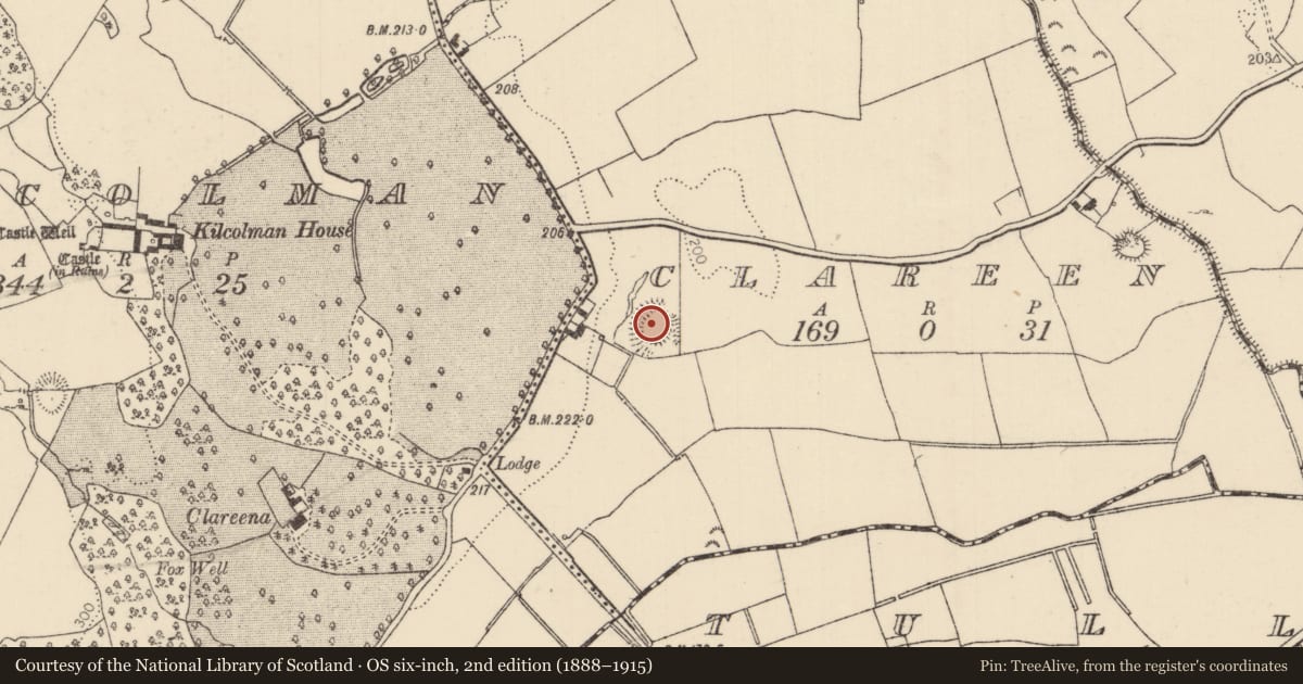Ordnance Survey six-inch map, 2nd edition (1888–1915) covering the location of Castle - ringwork, Clareen (Burgesbeg Par.), County Tipperary North, with a pin at the register's coordinates