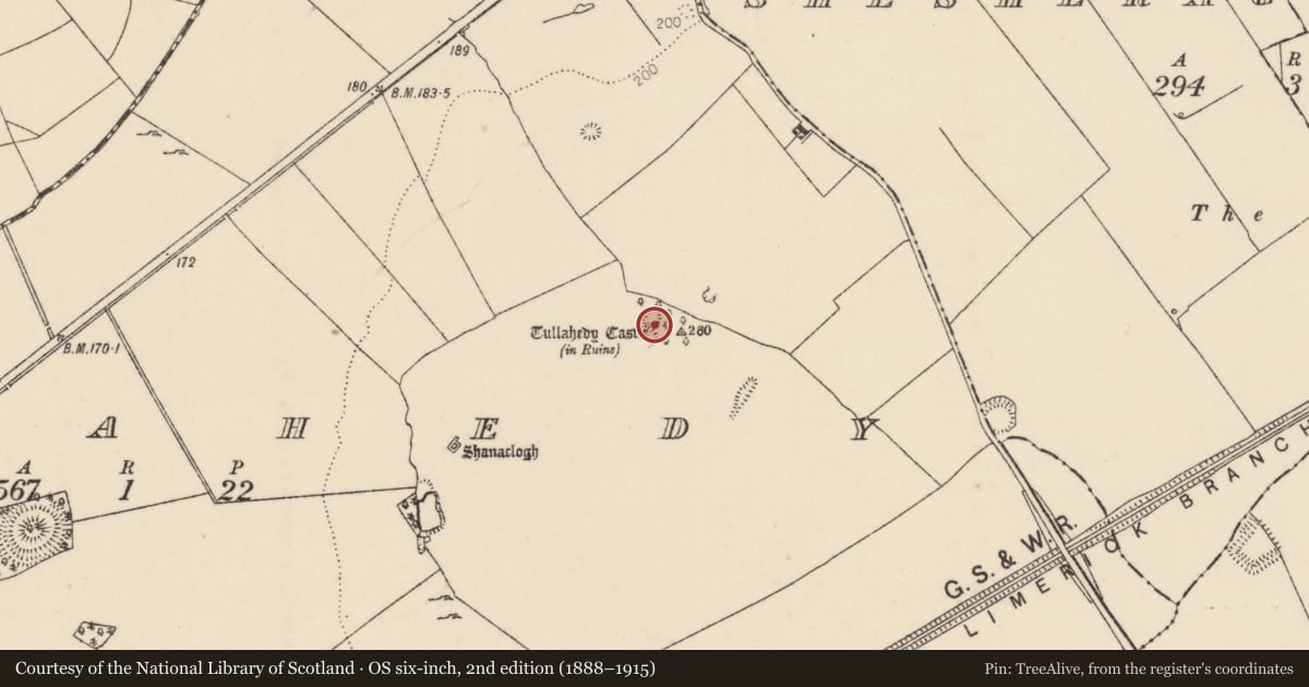 Ordnance Survey six-inch map, 2nd edition (1888–1915) covering the location of Castle - tower house, Tullahedy, County Tipperary North, with a pin at the register's coordinates