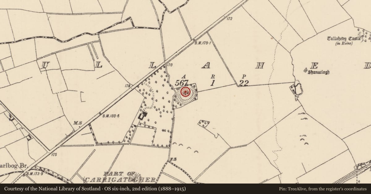 Ordnance Survey six-inch map, 2nd edition (1888–1915) covering the location of Castle - motte and bailey, Tullahedy, County Tipperary North, with a pin at the register's coordinates