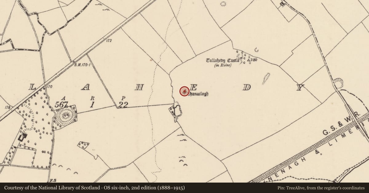 Ordnance Survey six-inch map, 2nd edition (1888–1915) covering the location of House - indeterminate date, Tullahedy, County Tipperary North, with a pin at the register's coordinates