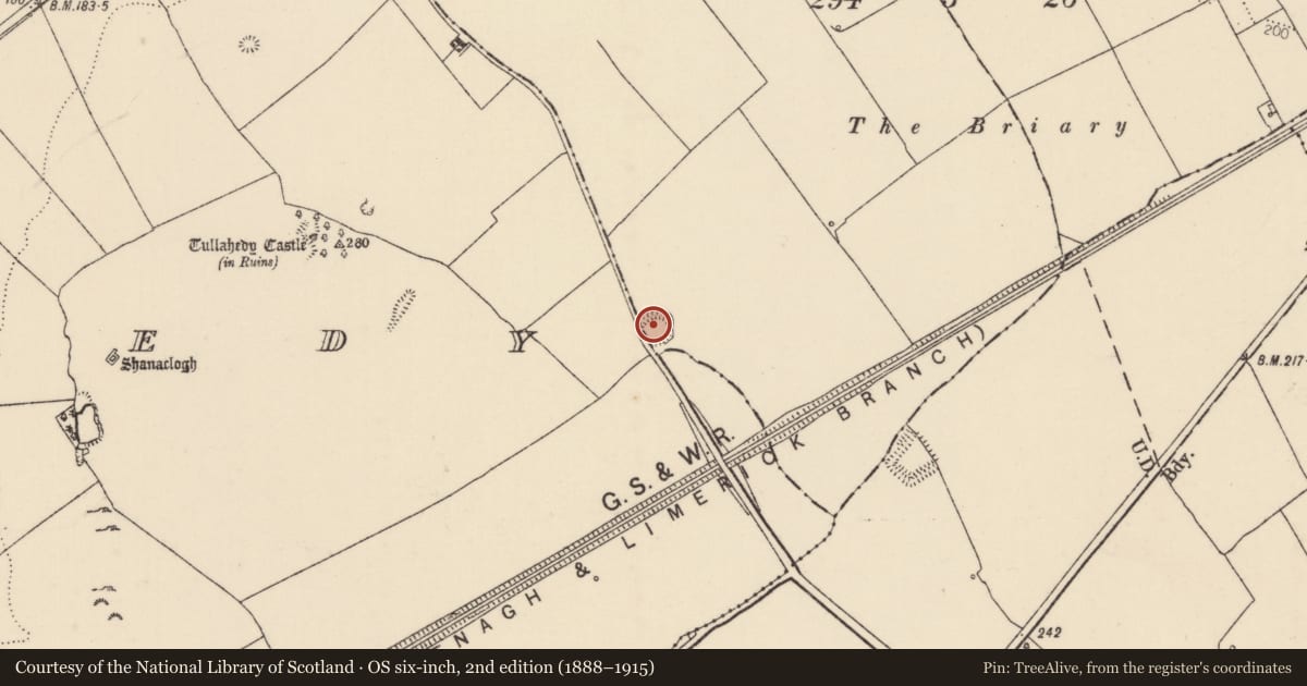 Ordnance Survey six-inch map, 2nd edition (1888–1915) covering the location of Ringfort - rath, Shesheraghkeale, Tullahedy, County Tipperary North, with a pin at the register's coordinates