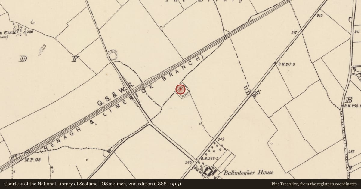 Ordnance Survey six-inch map, 2nd edition (1888–1915) covering the location of Moated site, Lahesseragh (Nenagh Par.), Shesheraghkeale, County Tipperary North, with a pin at the register's coordinates