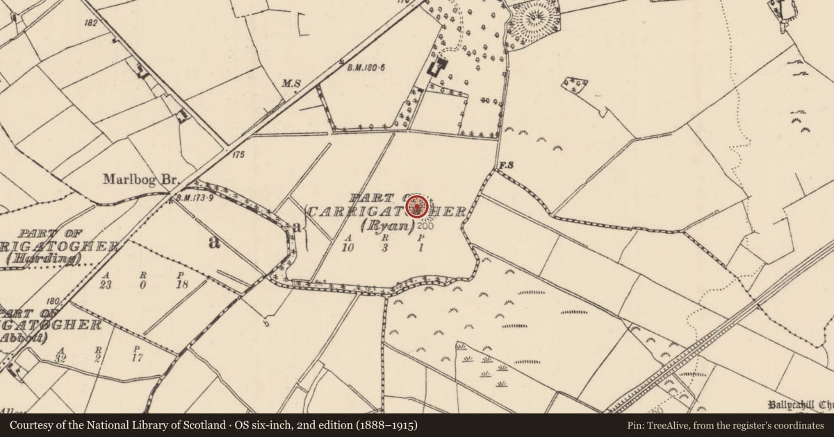 Ordnance Survey six-inch map, 2nd edition (1888–1915) covering the location of Enclosure, Tullahedy, County Tipperary North, with a pin at the register's coordinates