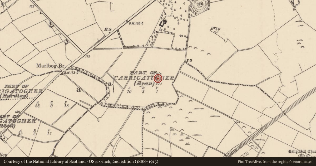 Ordnance Survey six-inch map, 2nd edition (1888–1915) covering the location of Enclosure, Tullahedy, County Tipperary North, with a pin at the register's coordinates