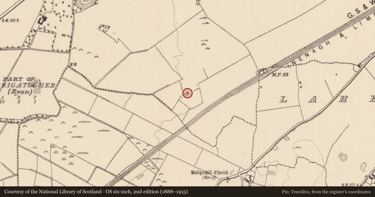 Ordnance Survey six-inch map, 2nd edition (1888–1915) covering the location of House - 16th/17th century, Tullahedy, County Tipperary North, with a pin at the register's coordinates