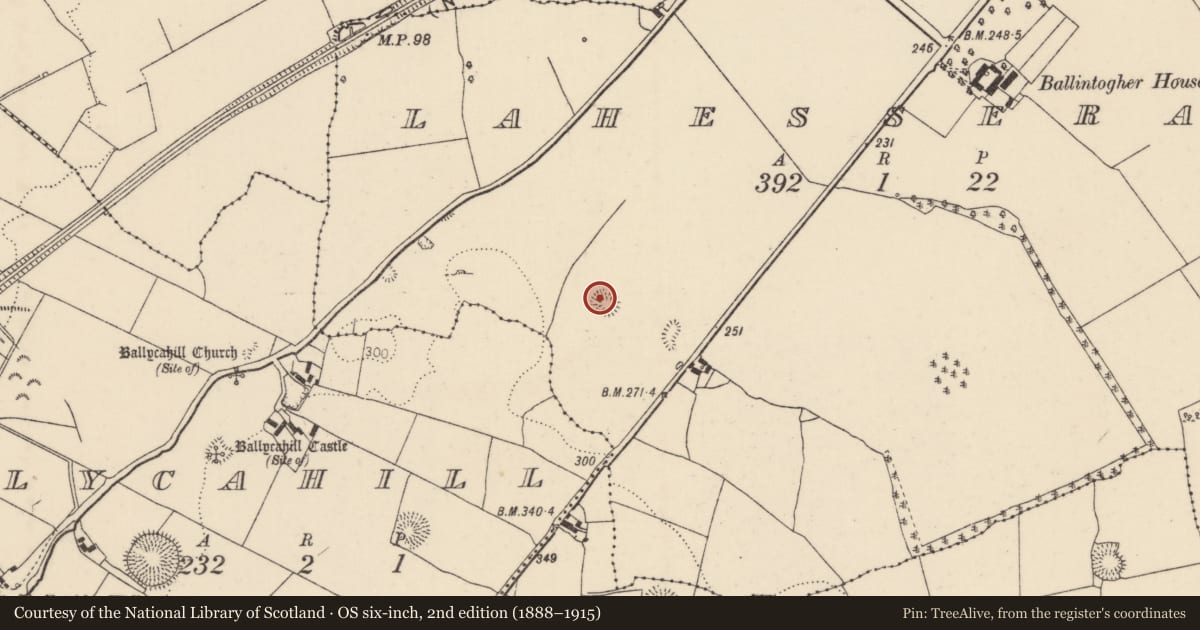 Ordnance Survey six-inch map, 2nd edition (1888–1915) covering the location of Ringfort - rath, Lahesseragh (Nenagh Par.), County Tipperary North, with a pin at the register's coordinates