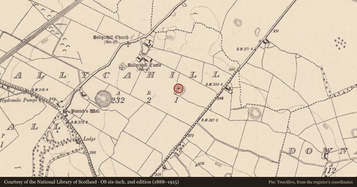 Ordnance Survey six-inch map, 2nd edition (1888–1915) covering the location of Enclosure, Ballycahill (Kilmore Par., North Riding), County Tipperary North, with a pin at the register's coordinates