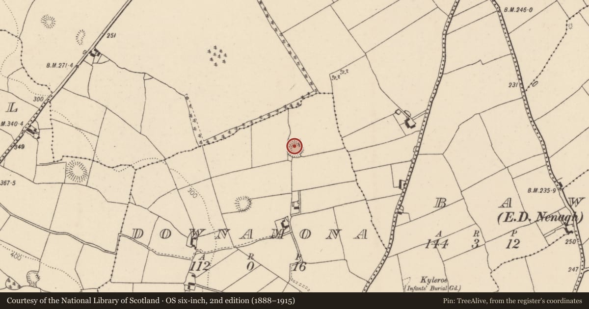 Ordnance Survey six-inch map, 2nd edition (1888–1915) covering the location of Ringfort - rath, Downamona, County Tipperary North, with a pin at the register's coordinates