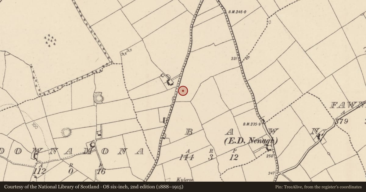 Ordnance Survey six-inch map, 2nd edition (1888–1915) covering the location of Earthwork, Bawn (Nenagh Par.), County Tipperary North, with a pin at the register's coordinates