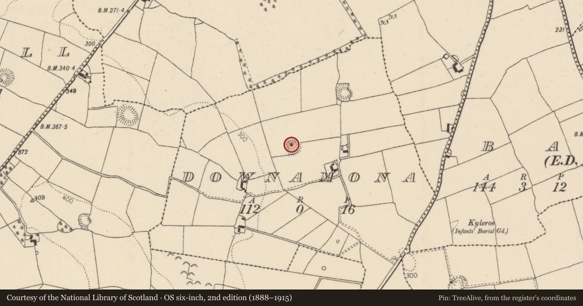 Ordnance Survey six-inch map, 2nd edition (1888–1915) covering the location of Ringfort - rath, Downamona, County Tipperary North, with a pin at the register's coordinates