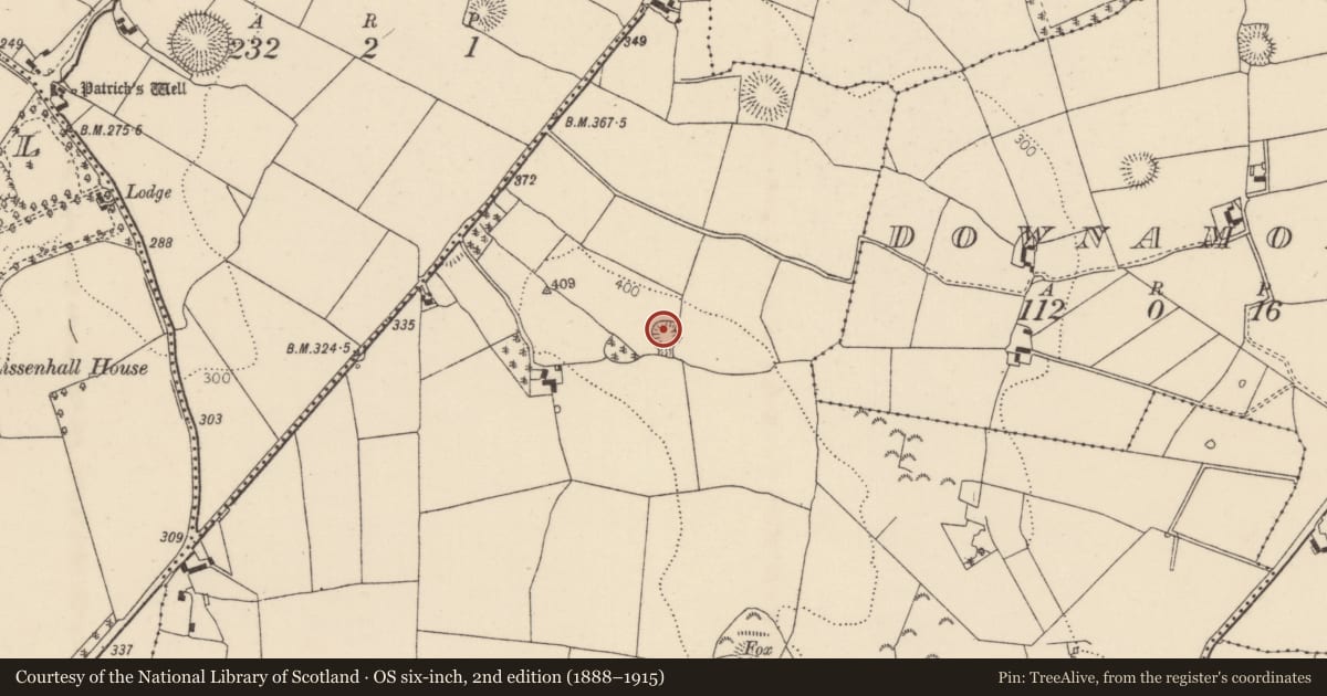 Ordnance Survey six-inch map, 2nd edition (1888–1915) covering the location of Ringfort - rath, Ballyphilip (Kilmore Par., North Riding), County Tipperary North, with a pin at the register's coordinates