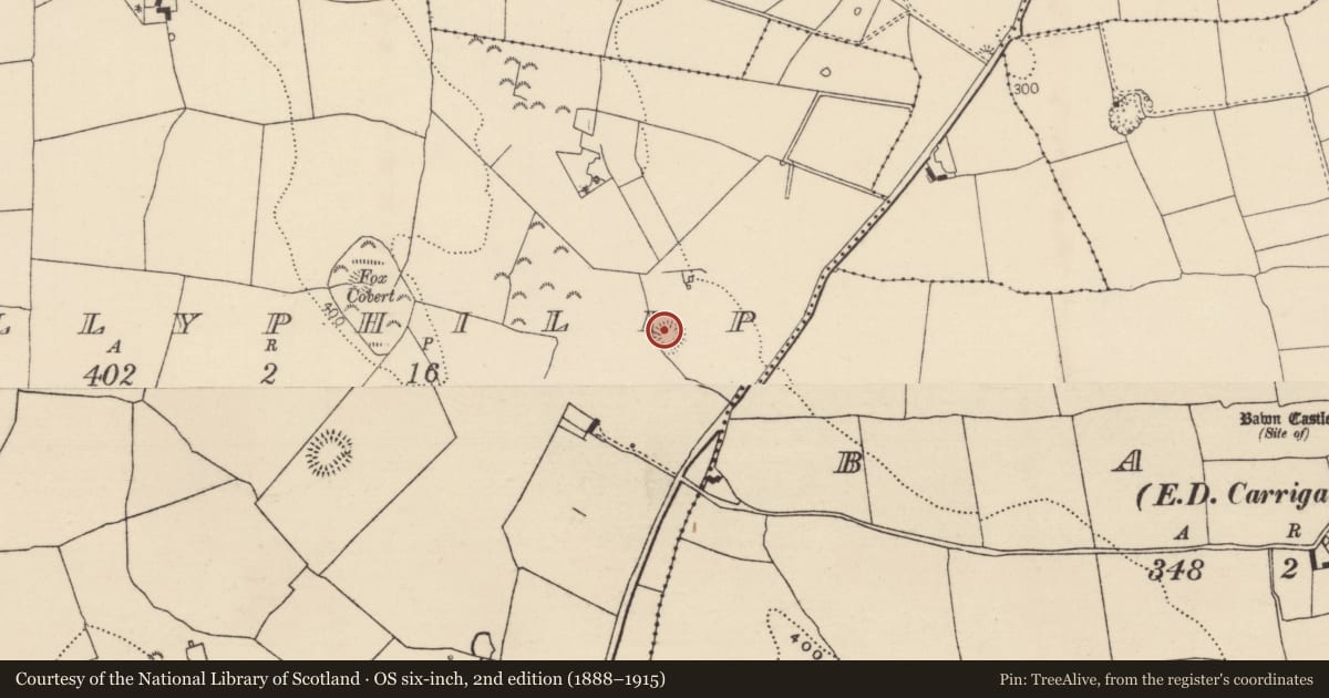Ordnance Survey six-inch map, 2nd edition (1888–1915) covering the location of Ringfort - rath, Ballyphilip (Kilmore Par., North Riding), County Tipperary North, with a pin at the register's coordinates