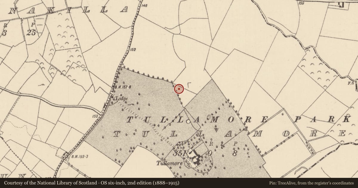 Ordnance Survey six-inch map, 2nd edition (1888–1915) covering the location of Enclosure, Tullamore, County Tipperary North, with a pin at the register's coordinates