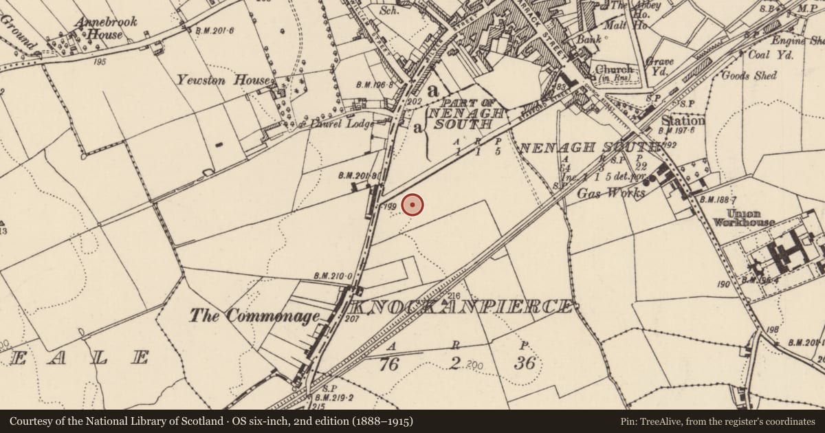 Ordnance Survey six-inch map, 2nd edition (1888–1915) covering the location of Barrow - ring-barrow, Knockanpierce, County Tipperary North, with a pin at the register's coordinates