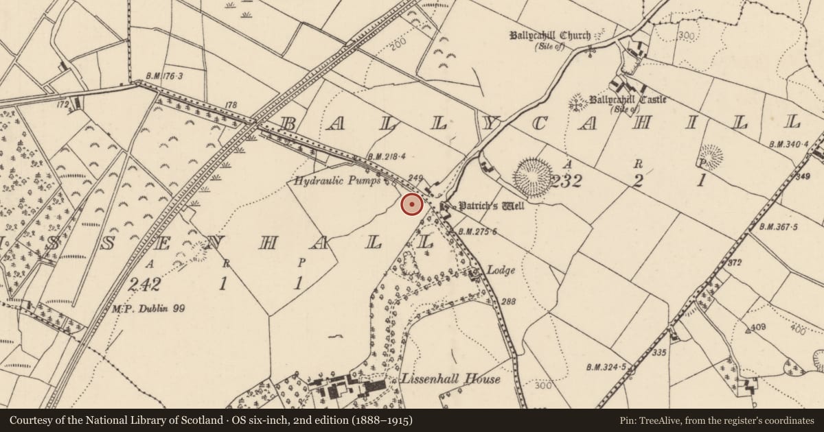 Ordnance Survey six-inch map, 2nd edition (1888–1915) covering the location of Well, Lissenhall, County Tipperary North, with a pin at the register's coordinates