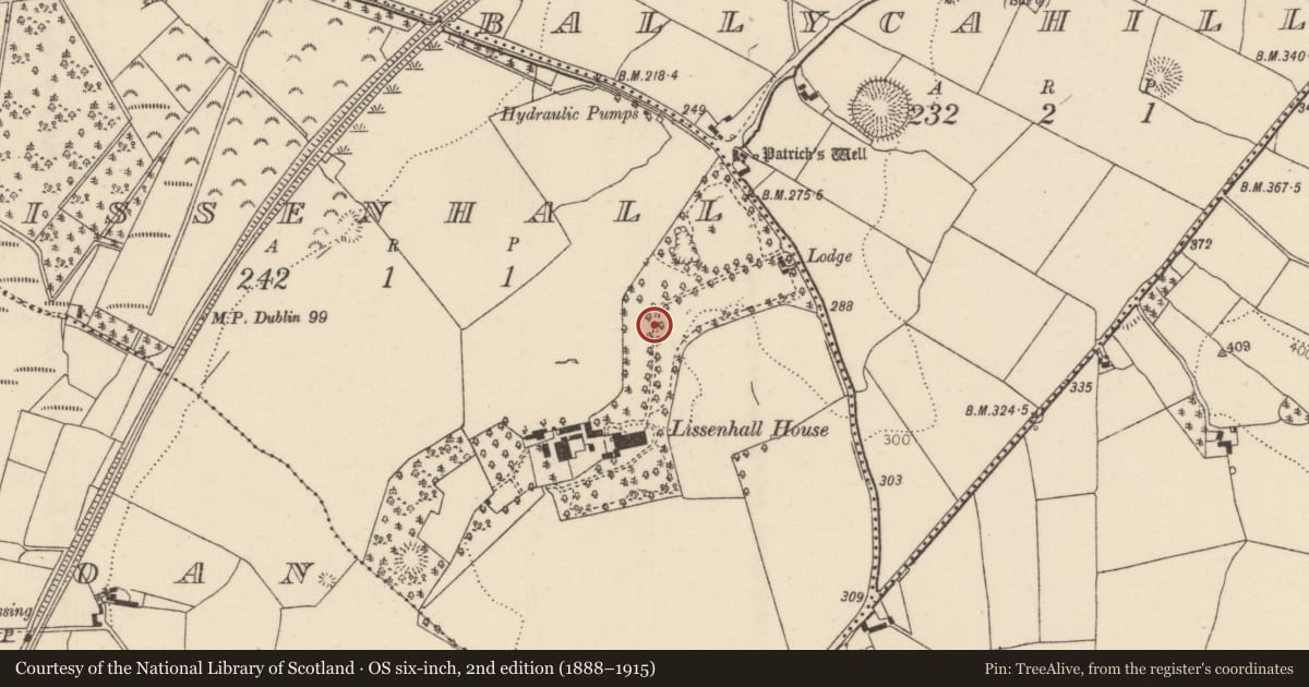 Ordnance Survey six-inch map, 2nd edition (1888–1915) covering the location of Road - road/trackway, Lissenhall, County Tipperary North, with a pin at the register's coordinates