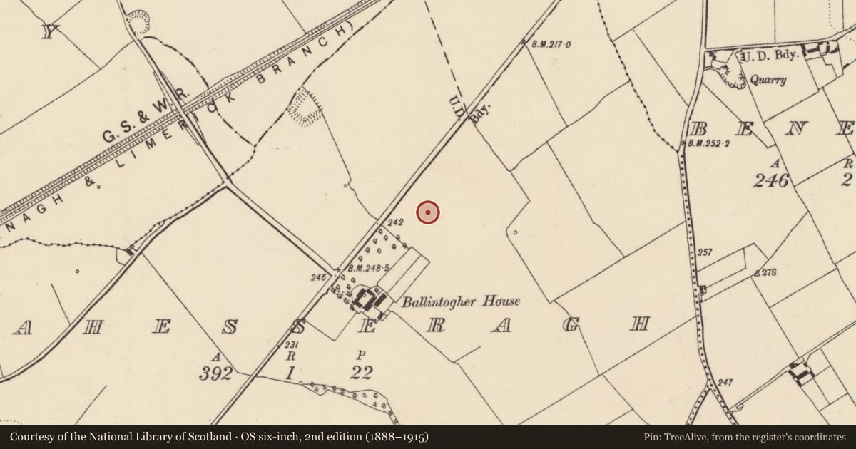Ordnance Survey six-inch map, 2nd edition (1888–1915) covering the location of Barrow - ring-barrow, Lahesseragh (Killea Par.), County Tipperary North, with a pin at the register's coordinates