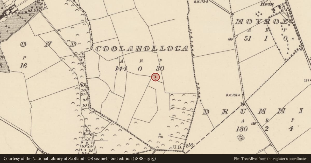 Ordnance Survey six-inch map, 2nd edition (1888–1915) covering the location of Enclosure, Coolaholloga, County Tipperary North, with a pin at the register's coordinates